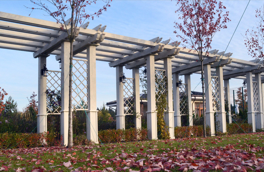 Дом в Новой Москве