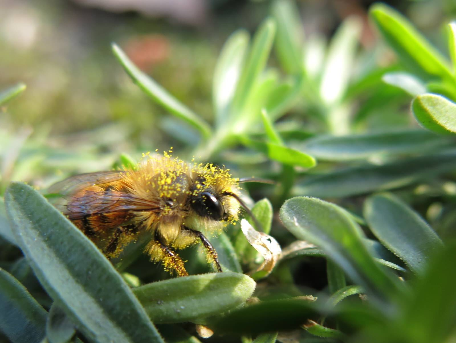 Фоновое изображение профиля Марина Миронова
