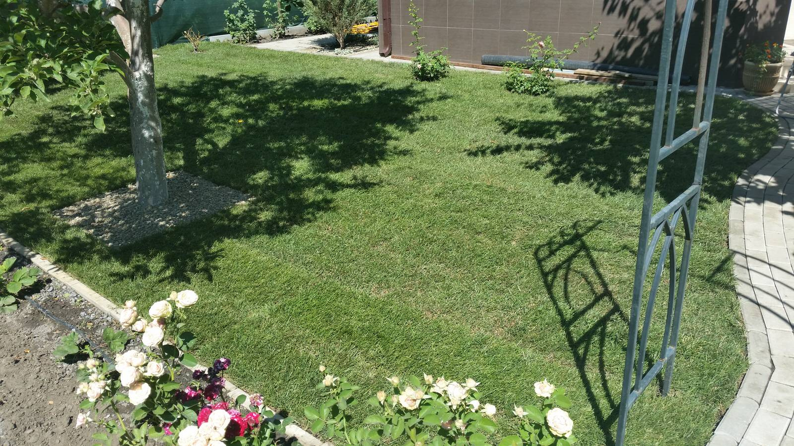 Рулонный газон в Ростове-на-Дону все работы под ключ!