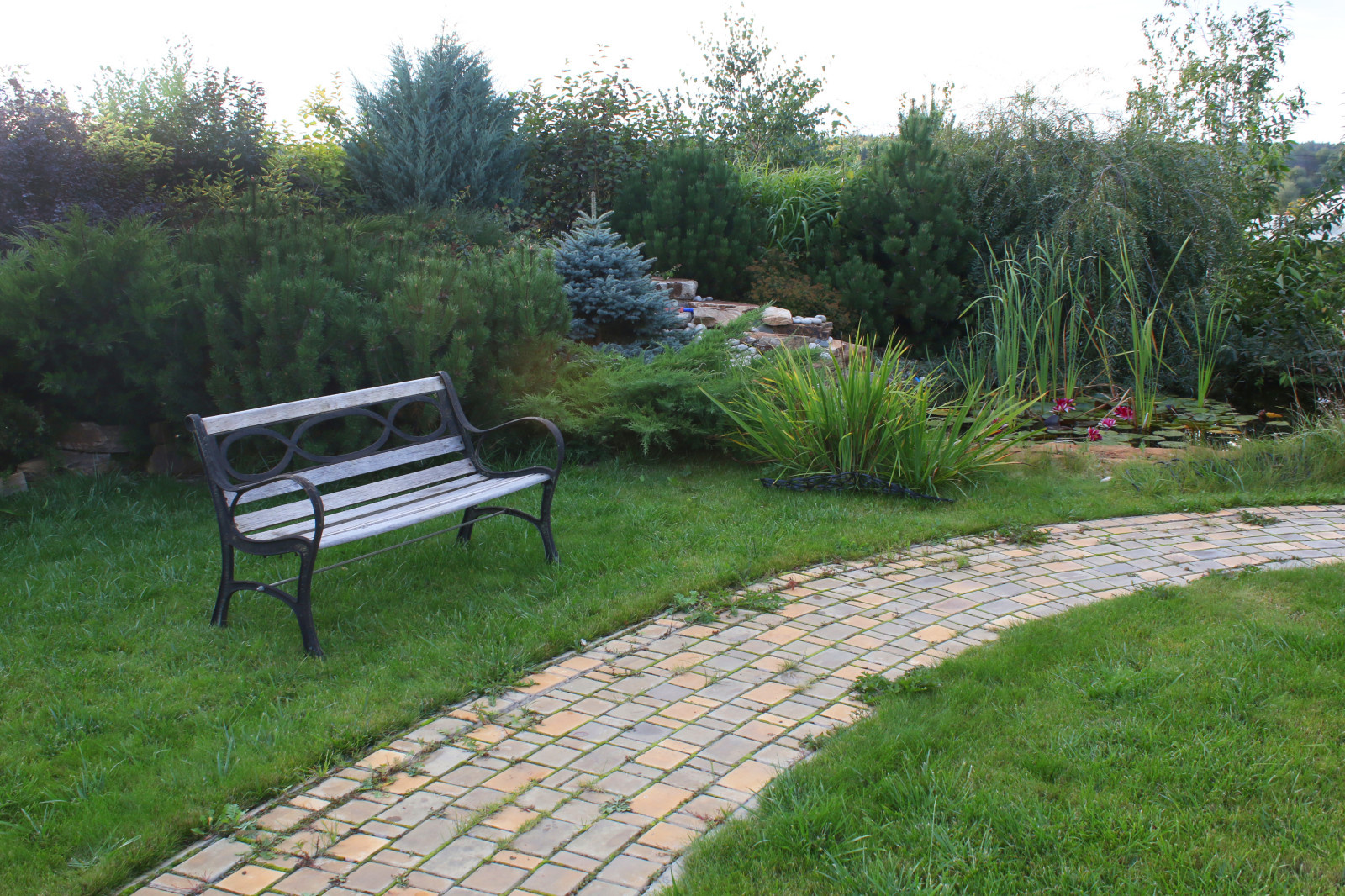 Обложка альбома: пруд