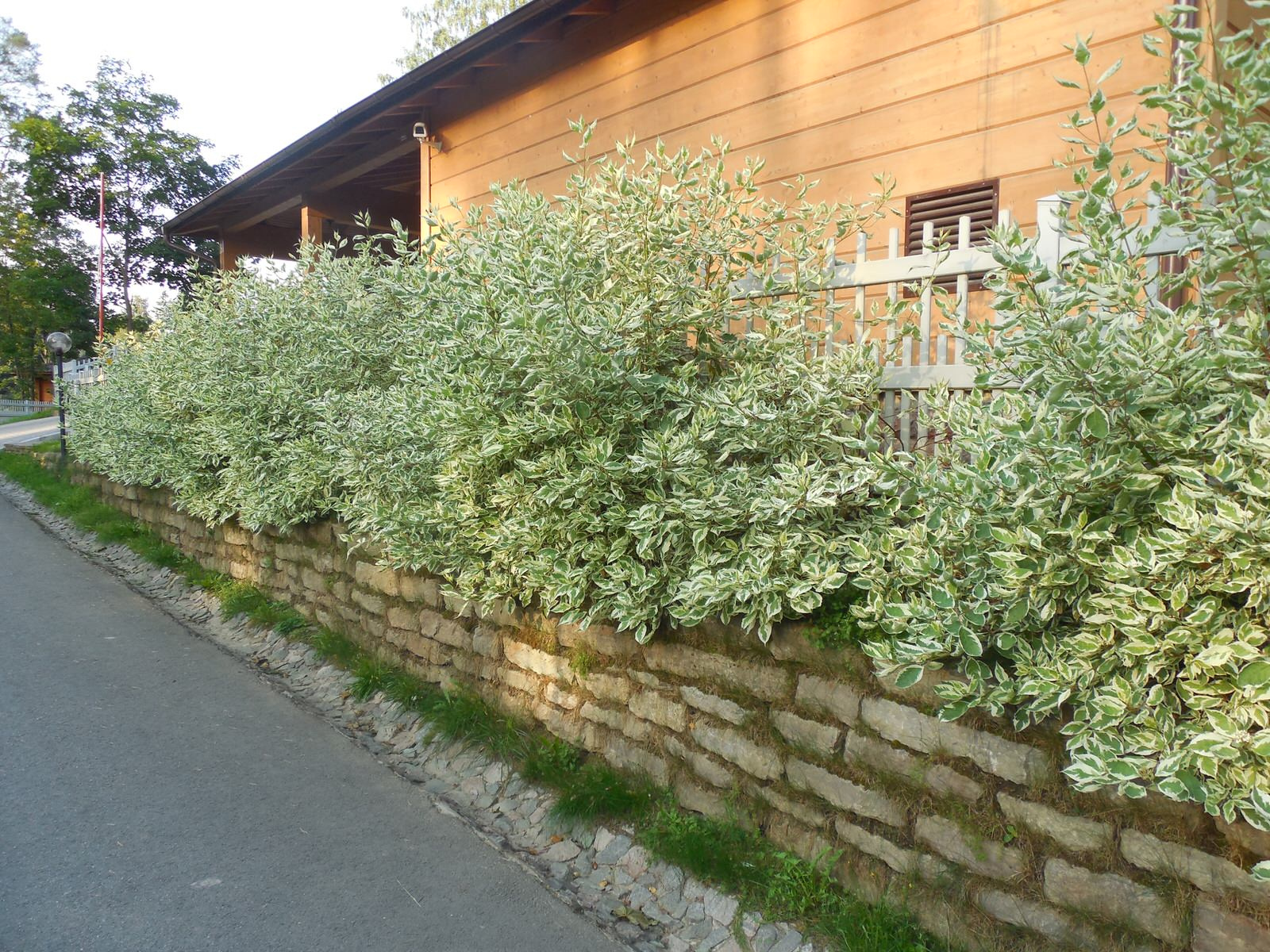 проекты и работы до 2013г.