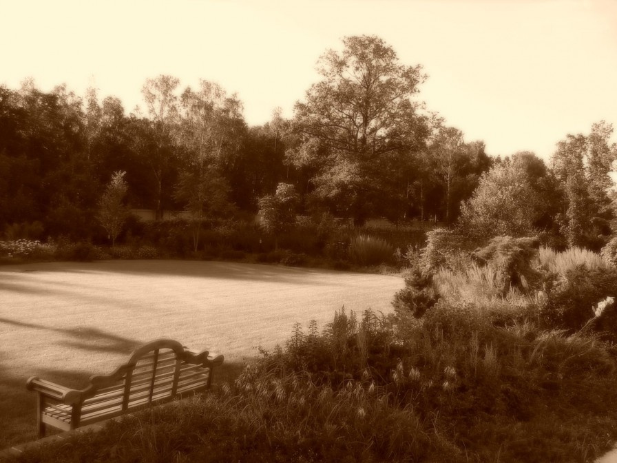 Пейзажный сад в Новогорске.