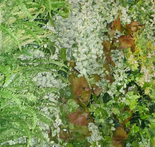 Фоновое изображение профиля Кристина Дикова