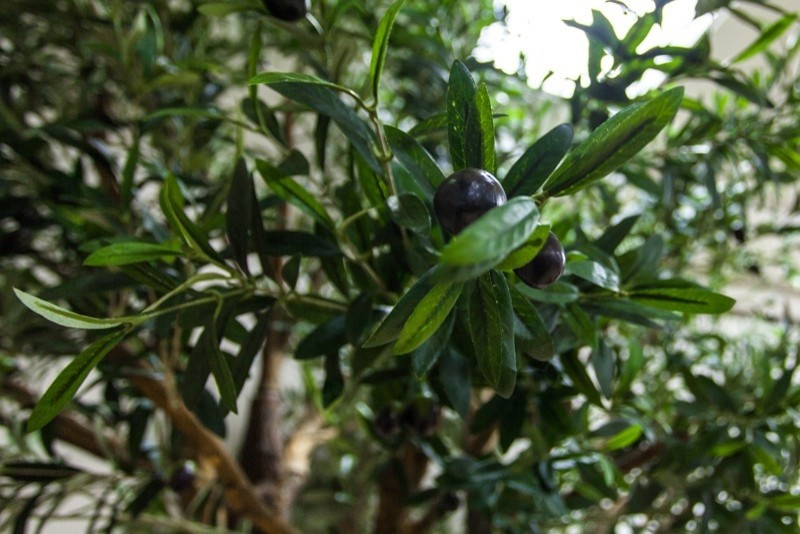 Помещение религиозной организации