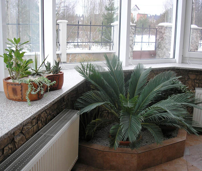 Фоновое изображение профиля Татьяна Сергеева