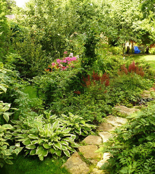 Обложка проекта: Цветники