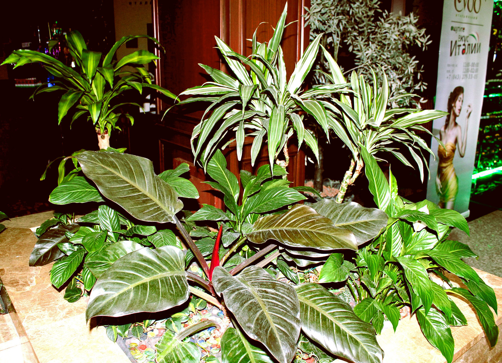 Корстон Казань