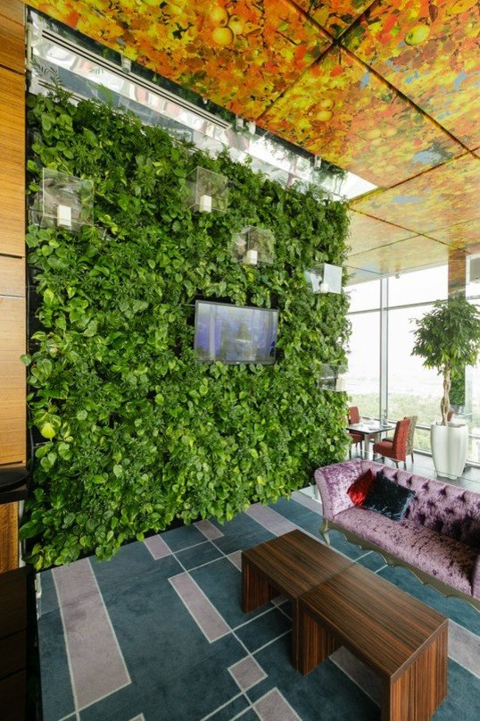 Корстон Казань