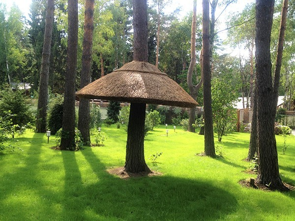 БЕСЕДКА ВОКРУГ ЖИВОГО ДЕРЕВА. СОЛОМЕННАЯ КРЫША. ДЕРЕВНЯ КОРОВИНО.