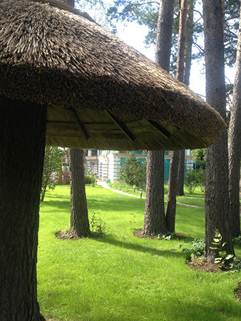 БЕСЕДКА ВОКРУГ ЖИВОГО ДЕРЕВА. СОЛОМЕННАЯ КРЫША. ДЕРЕВНЯ КОРОВИНО.