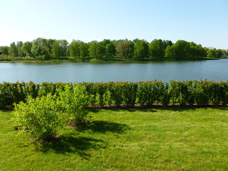 Озеленение