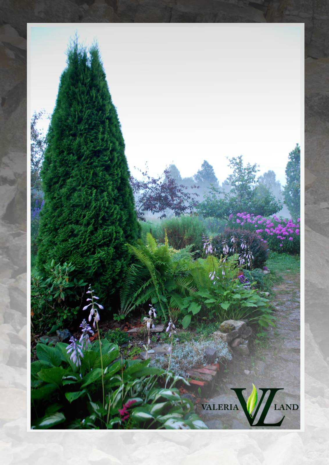 Реализованные проекты