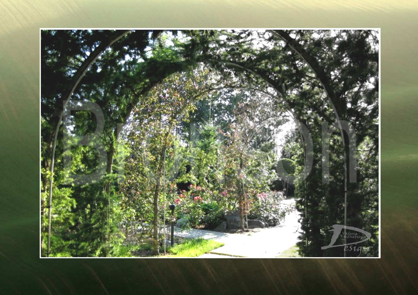 Реализованные проекты