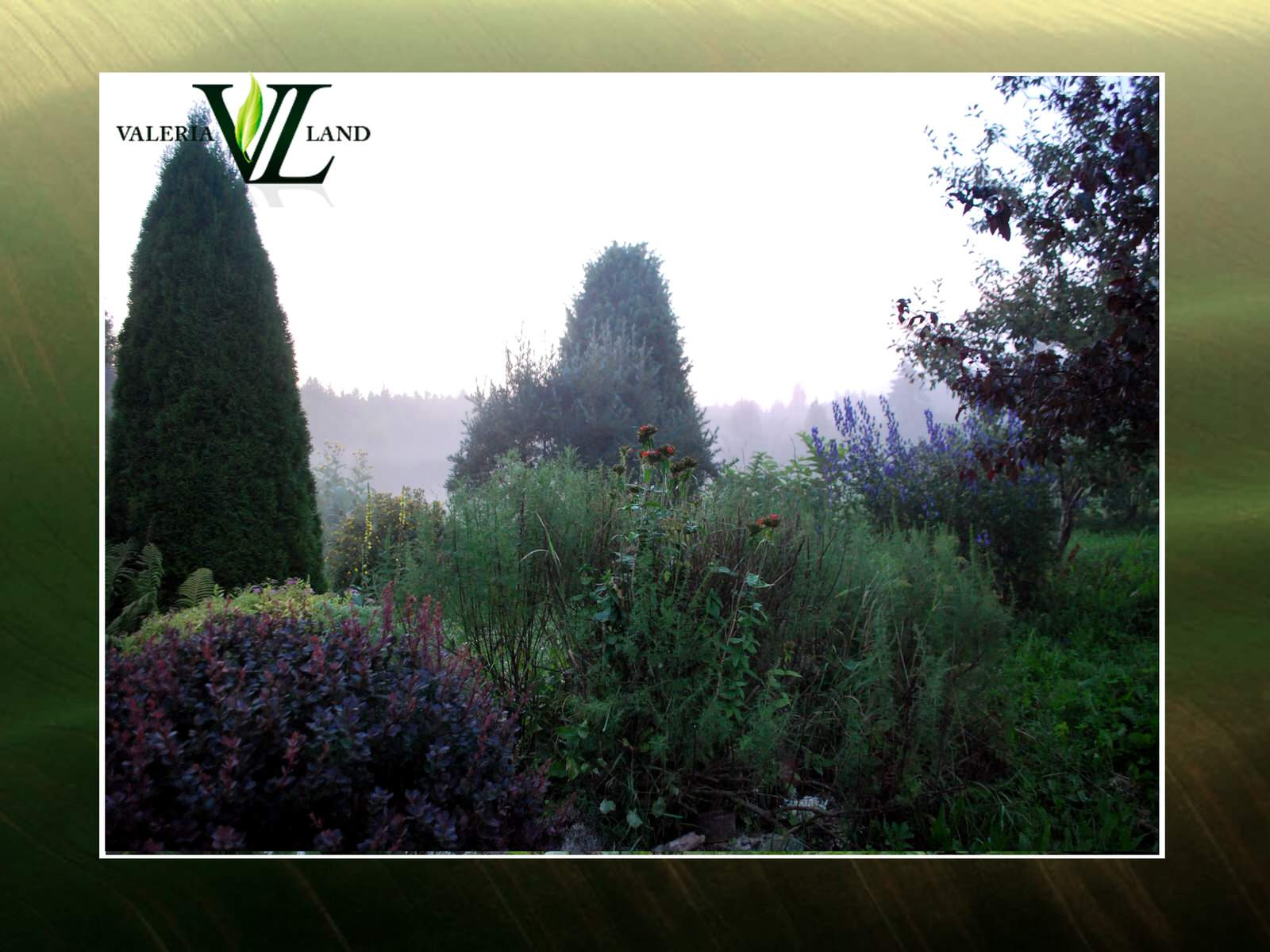 Реализованные проекты