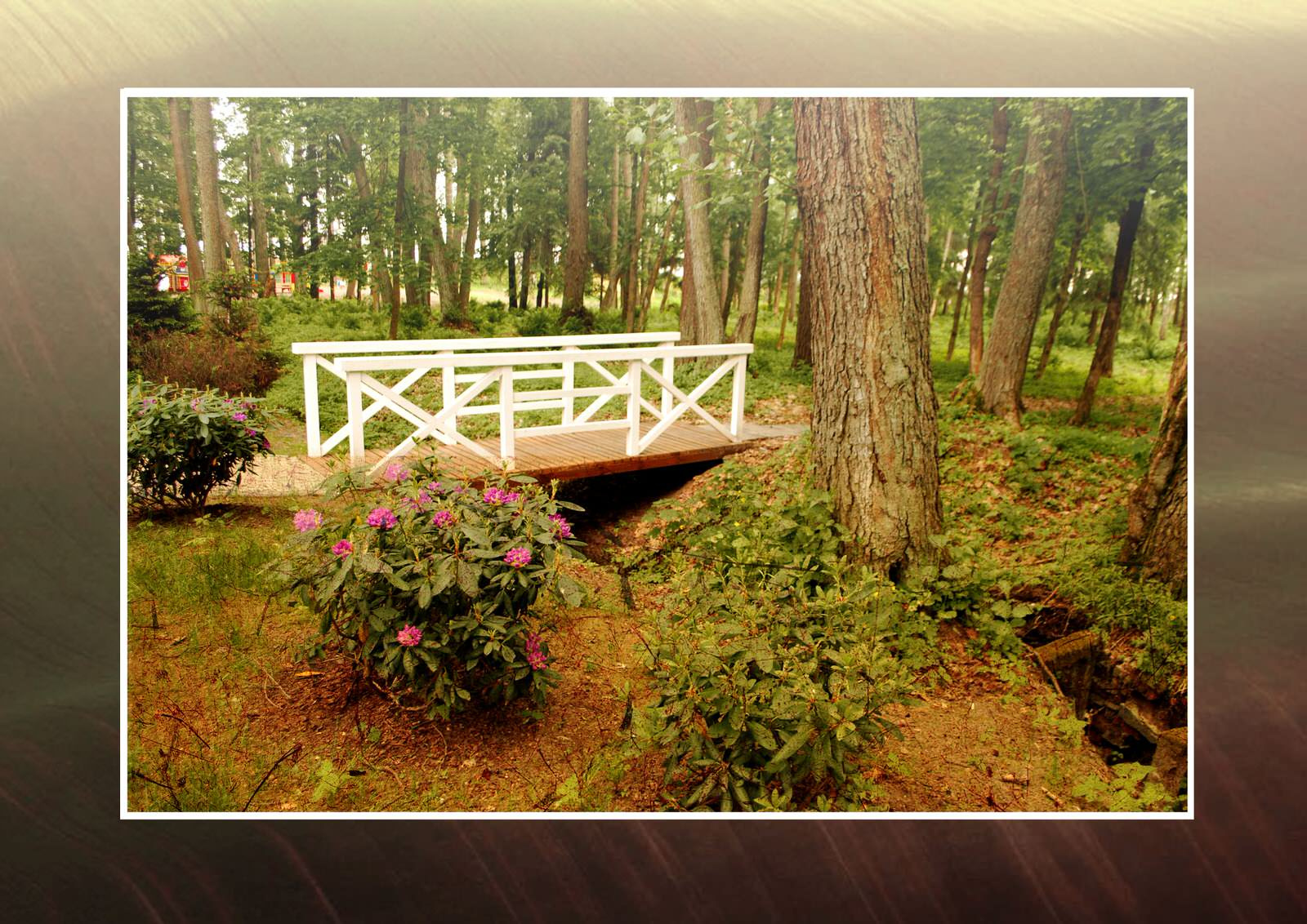 Реализованные проекты