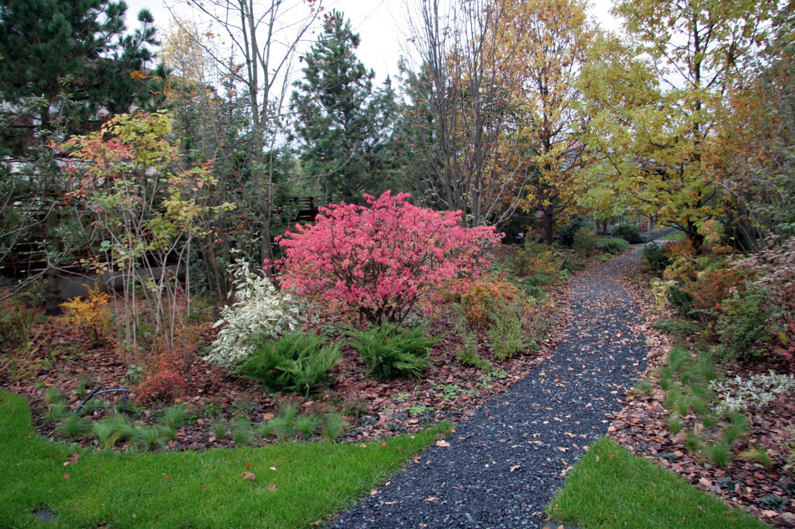Фоновое изображение профиля Мария Прохорова