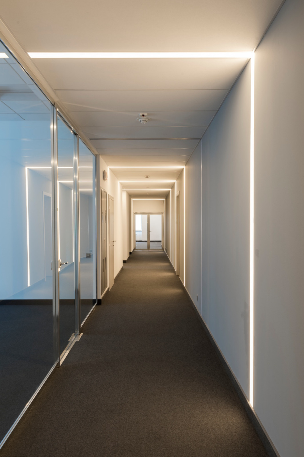 Eko office