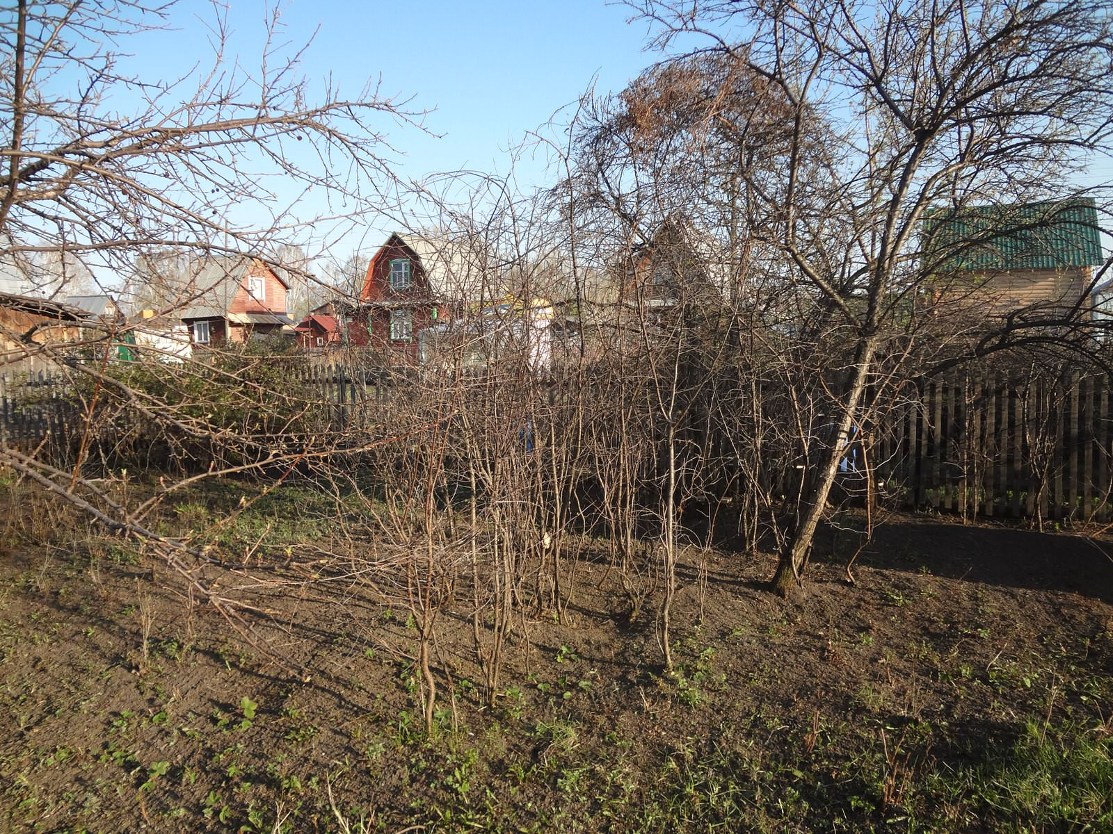 подготовка к сезону . Уход всесезонный