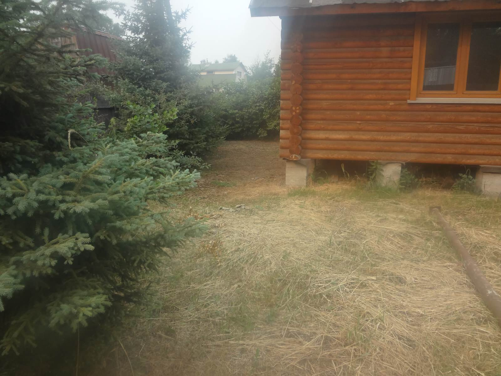 подготовка к сезону . Уход всесезонный