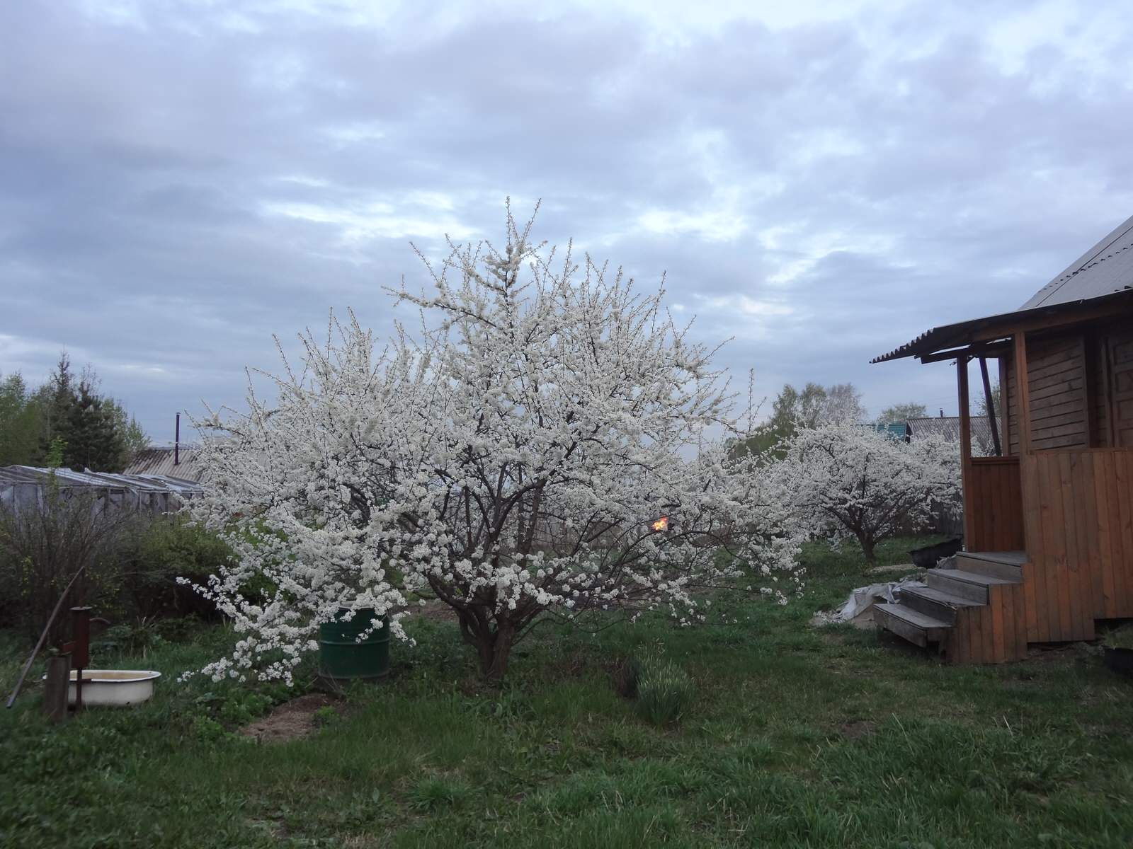 подготовка к сезону . Уход всесезонный