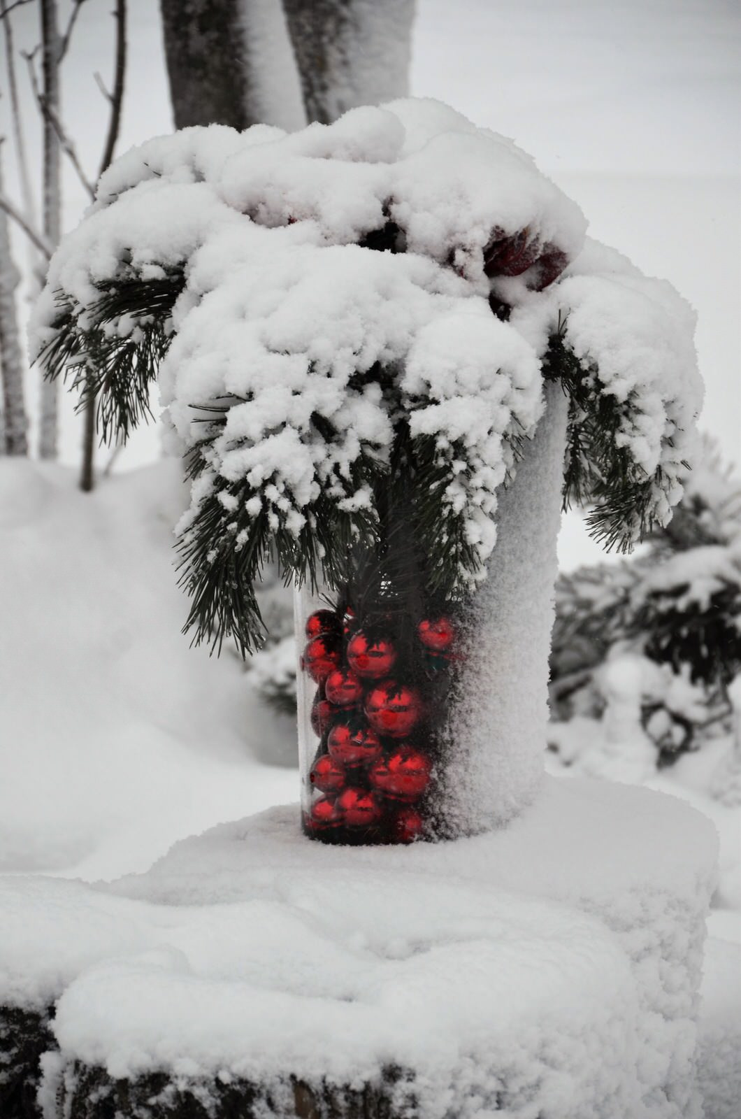 Планируем сад: Для кинестетиков, аудиалов и визуалов