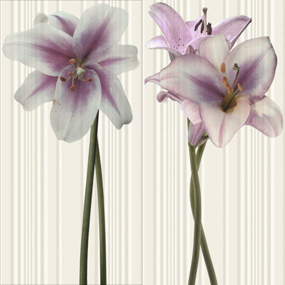 euroceramics.ru Дарья