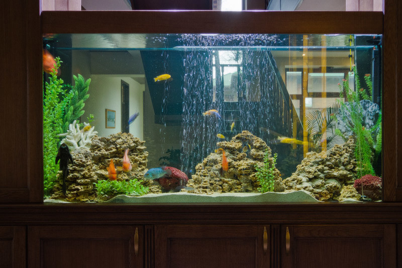 Алексей Усенко