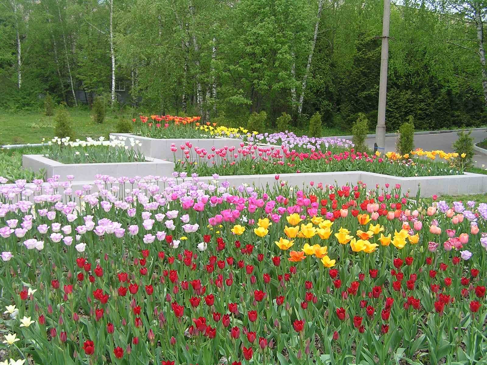 Фоновое изображение профиля Марина Беляева