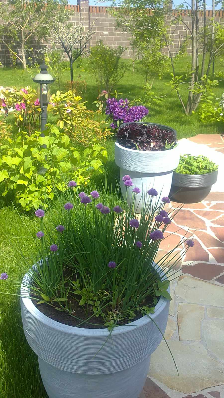 Наши работы