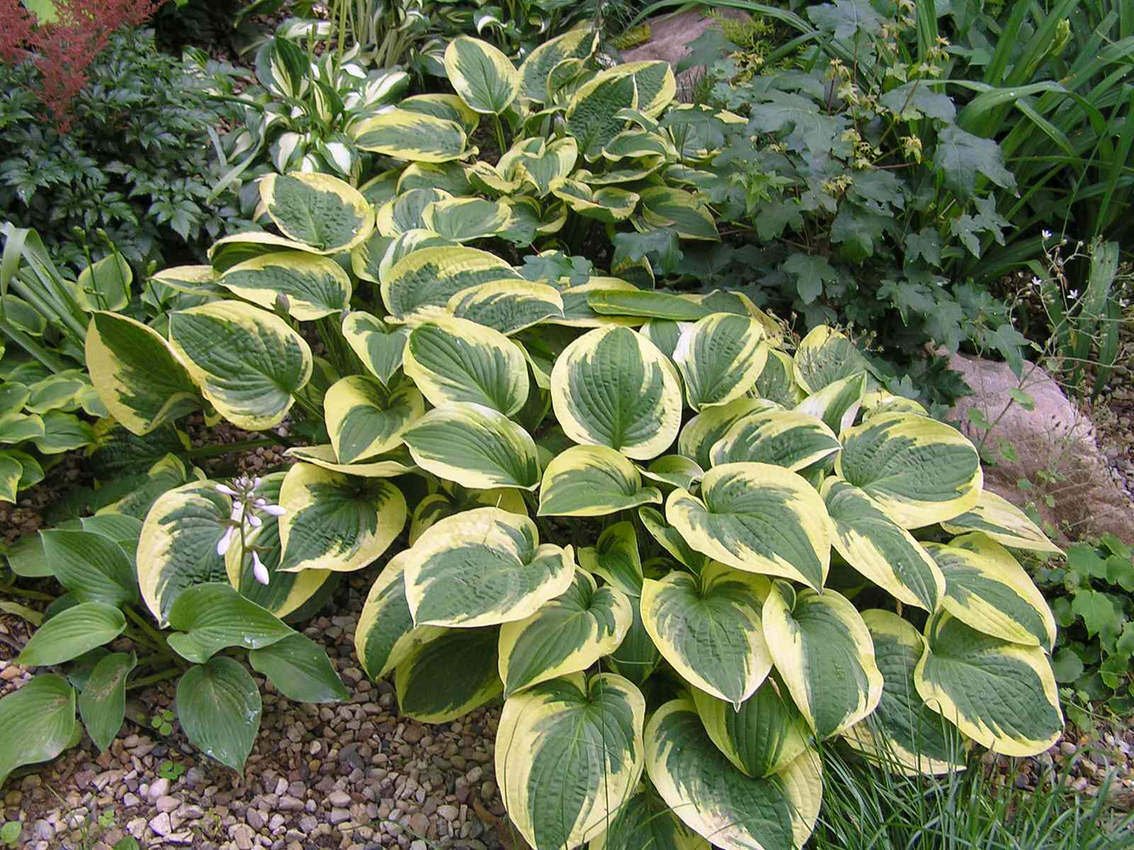 Наши работы