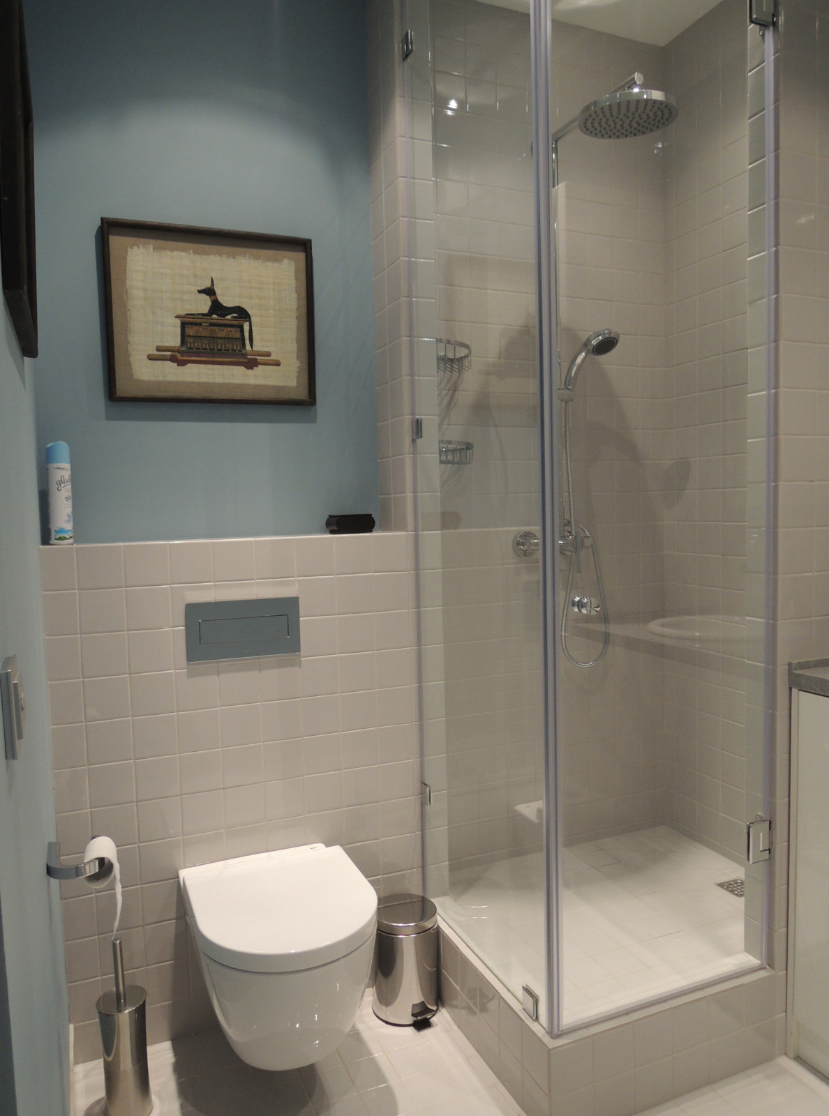 Гостевой санузел