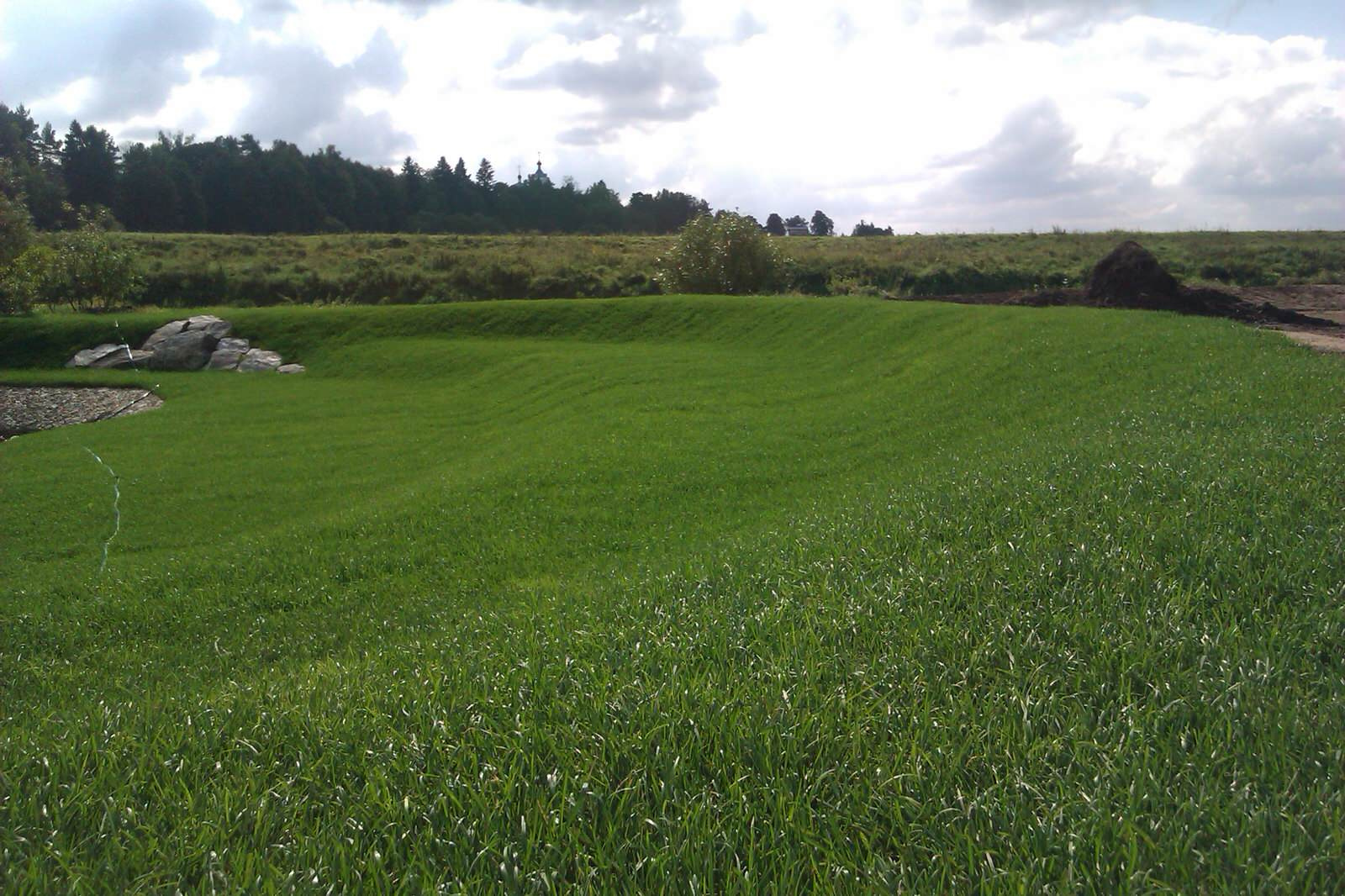 Ландшафт на Москва-реке