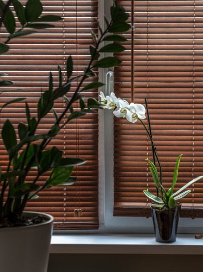 Фоновое изображение профиля Кристина Изотова