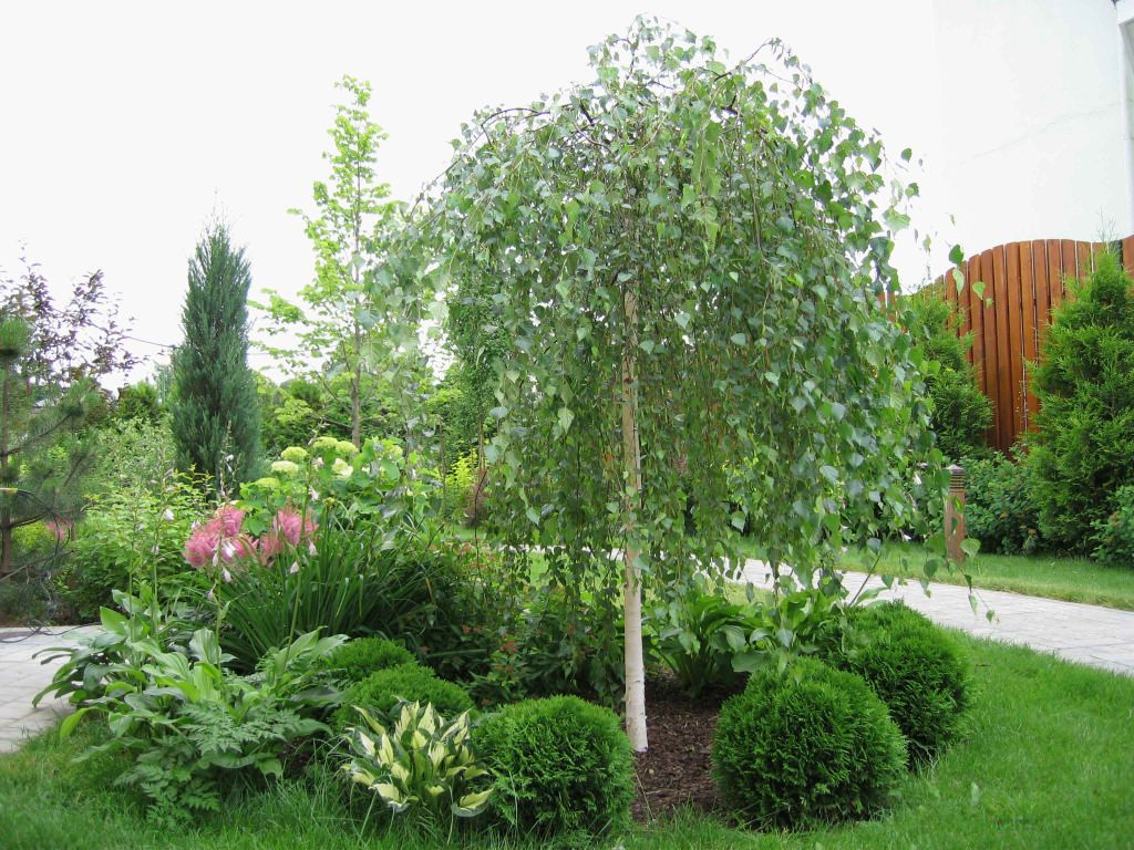 6 соток и меньше: Стратегии выбора растений