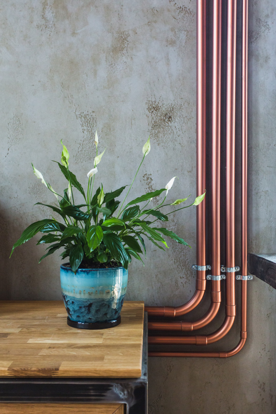 В гостях: Современный лофт, наполненный арт-объектами и музыкой