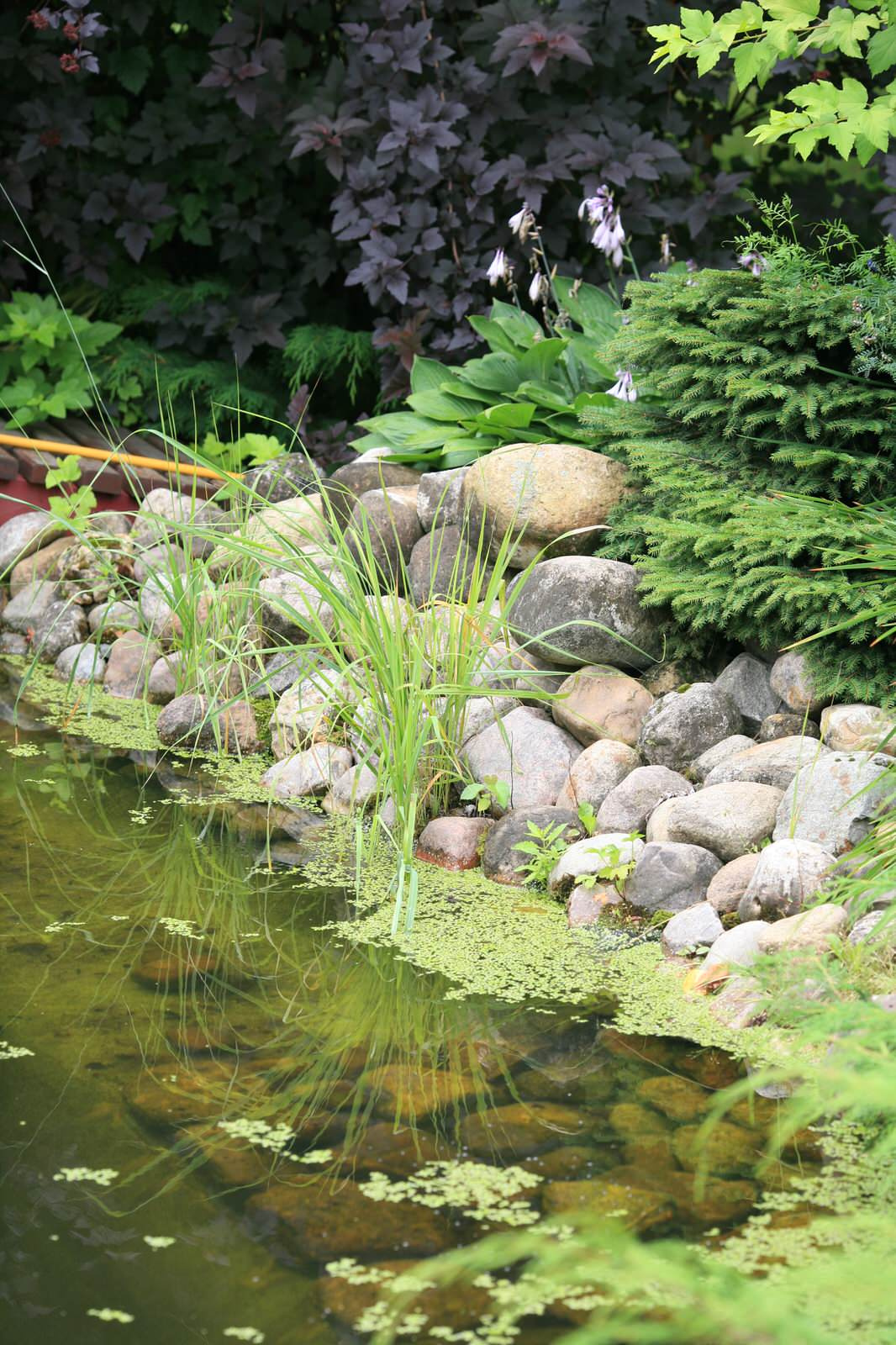 Фоновое изображение профиля "Илья Мочалов и Партнёры"