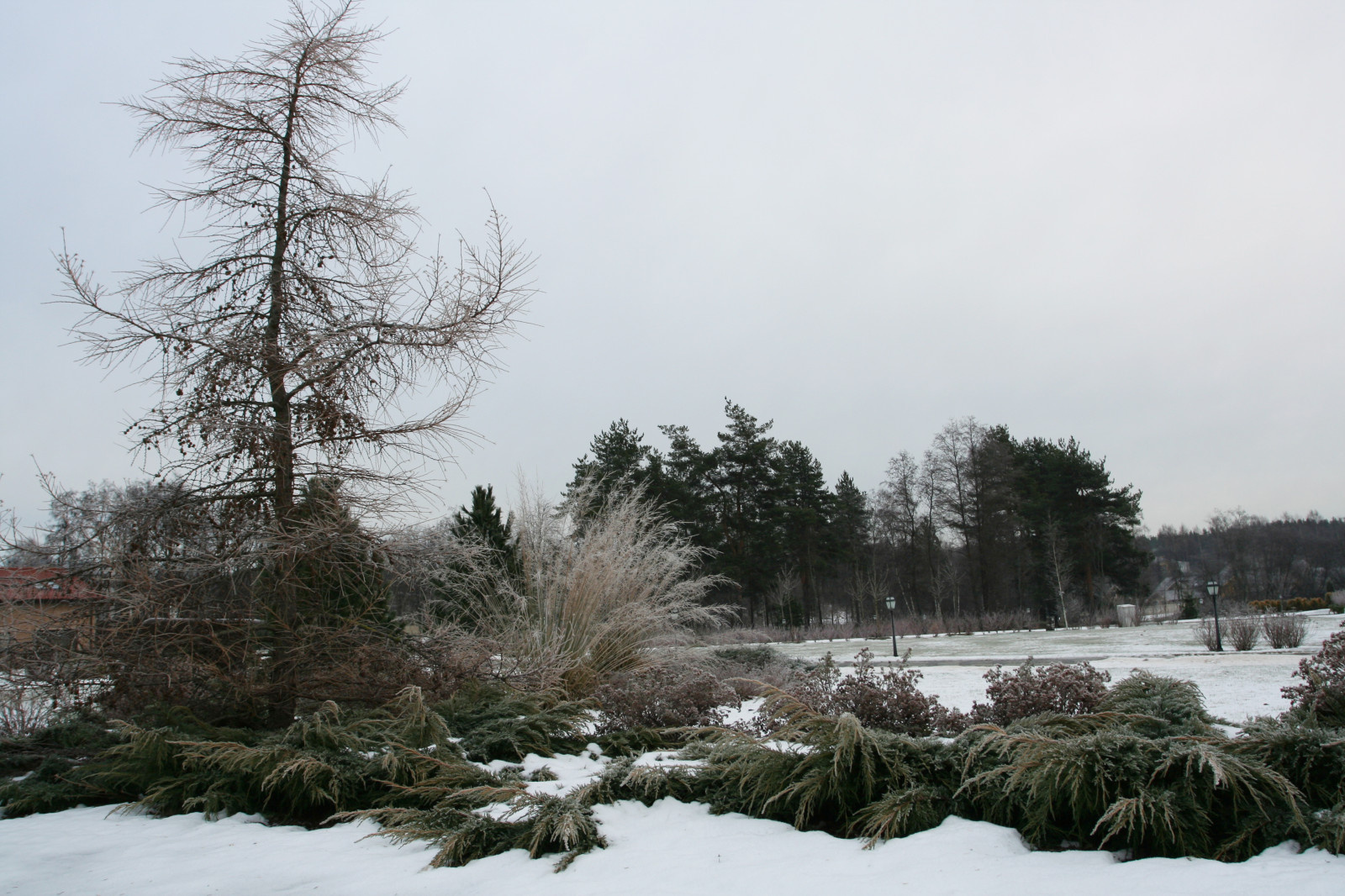 Репинские Усадьбы