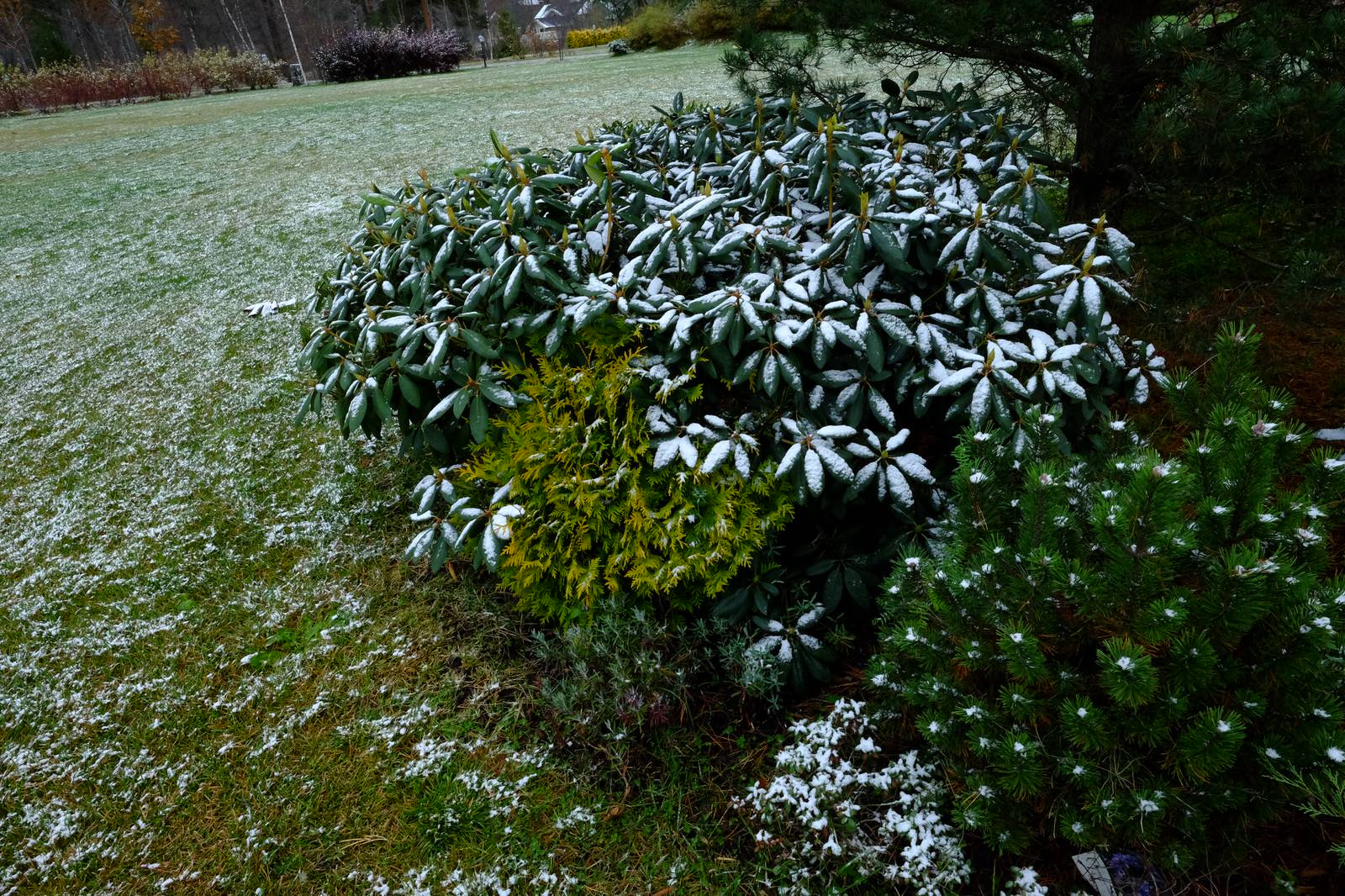 Репинские Усадьбы