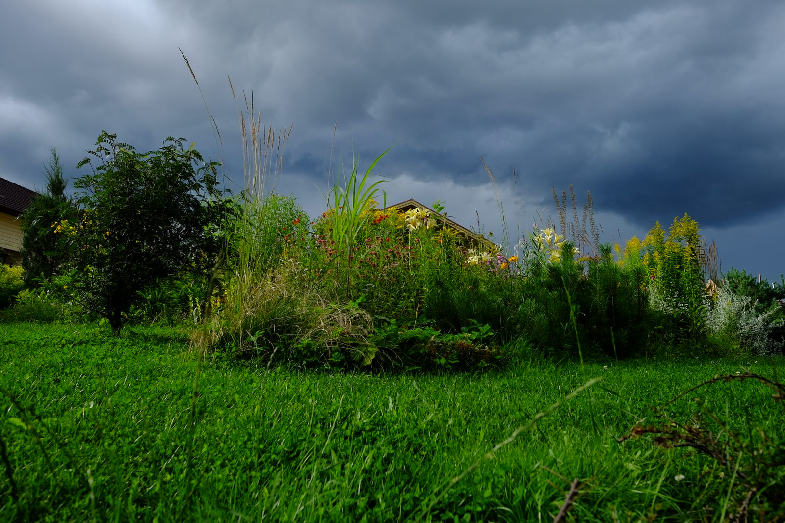 Зеркальный Ландшафтное проектирование