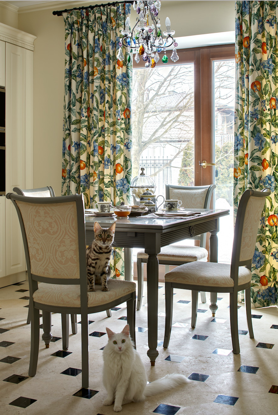 Кот в доме: Что делать, если начались проблемы