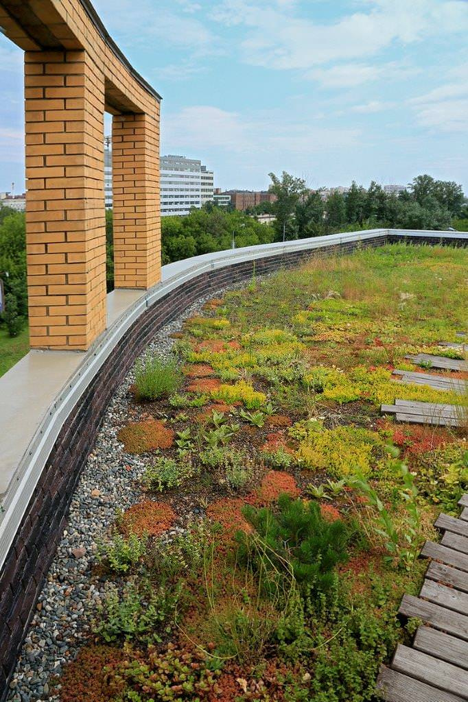 Сад на крыше