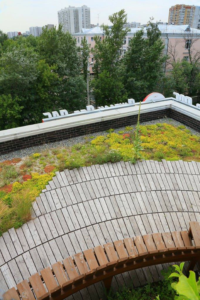 Сад на крыше