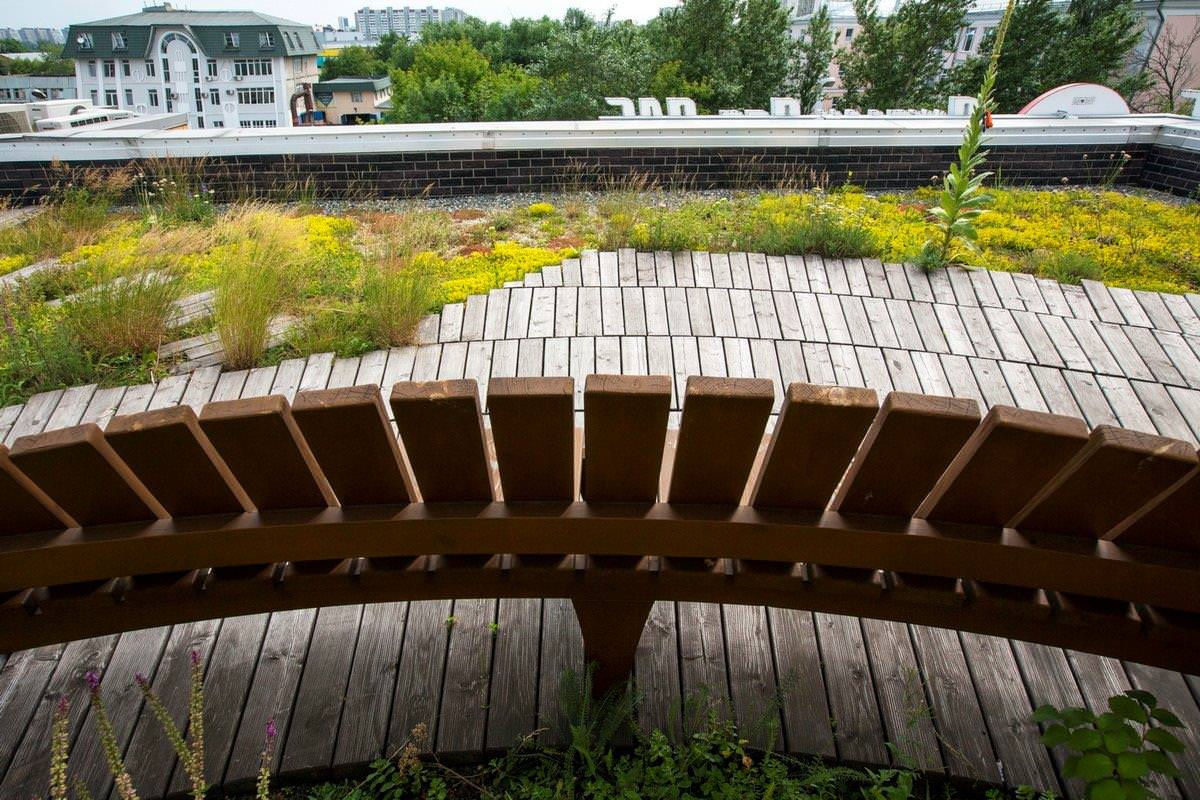 Сад на крыше