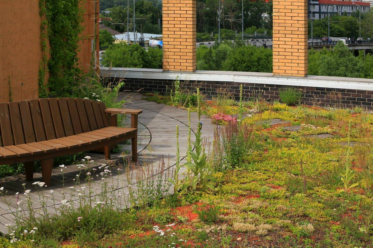 Сад на крыше