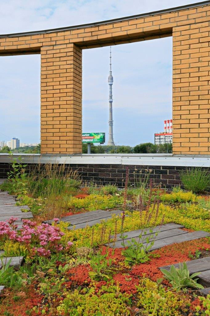 Сад на крыше