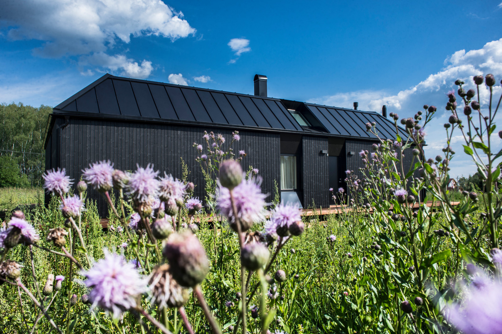 Houzz тур: Подмосковный дом, построенный по шведскому проекту