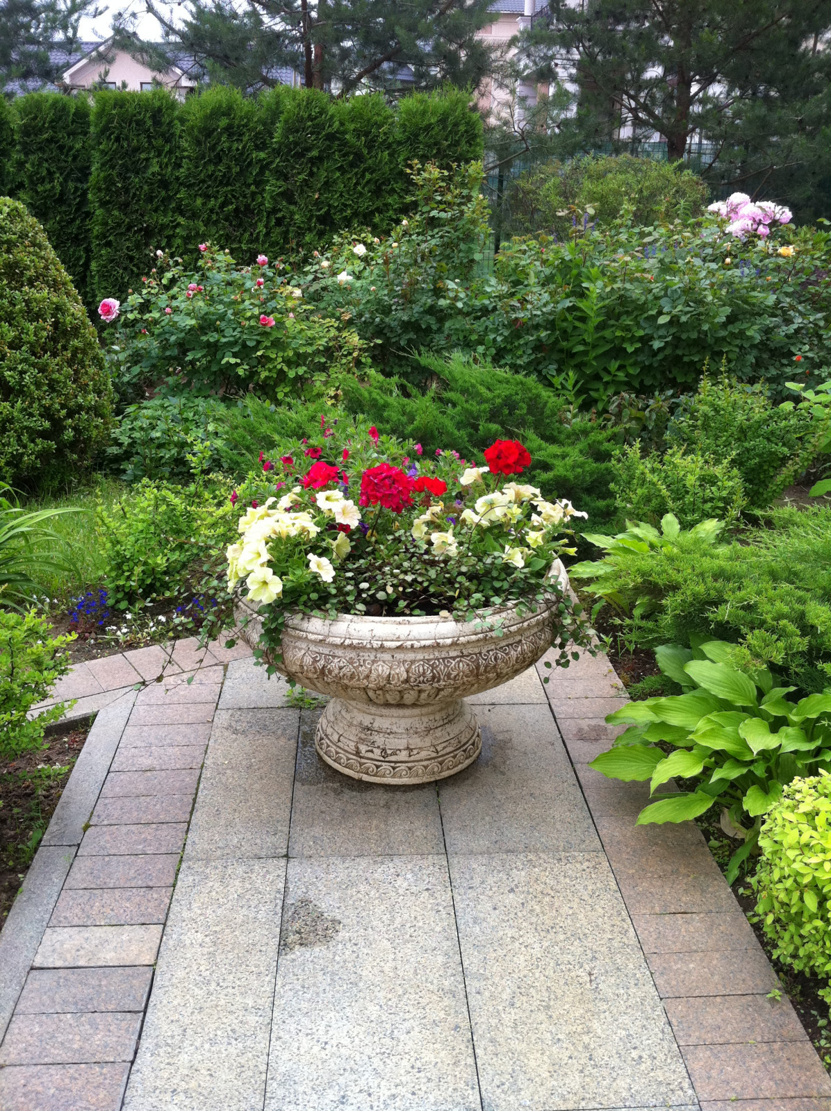 Современный сад