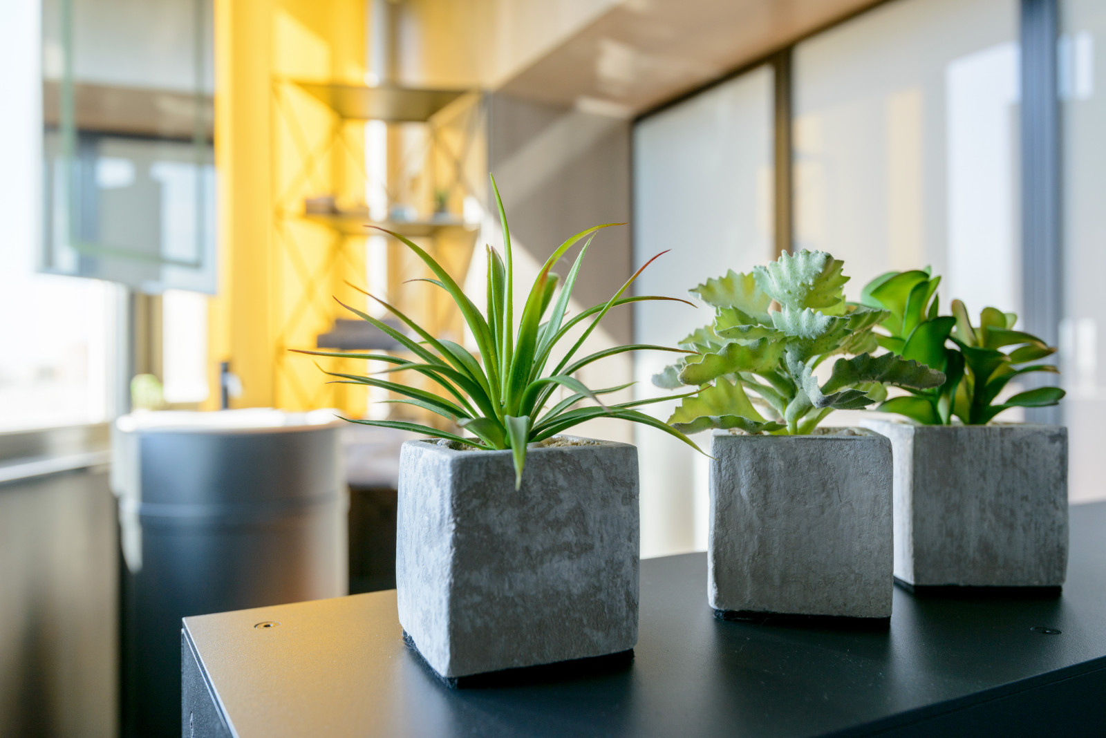 Интерьер Андрея Шемонаева