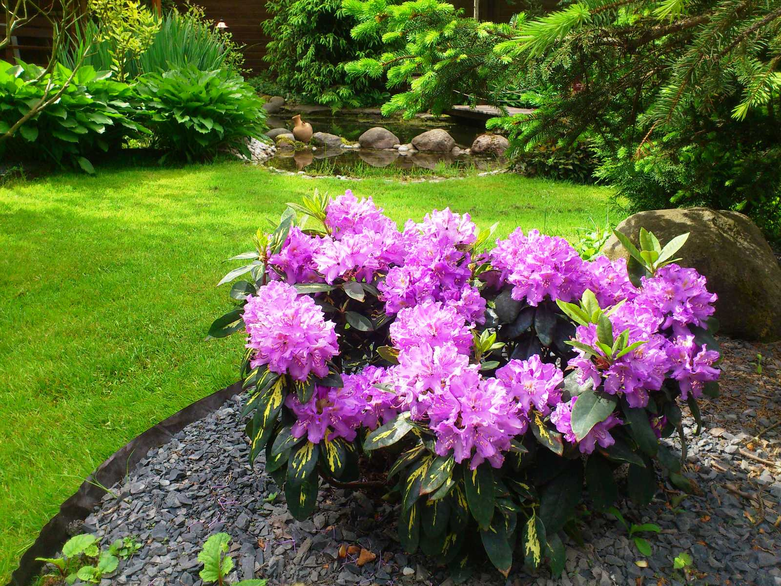 Обложка проекта: Ландшафт в природном стиле