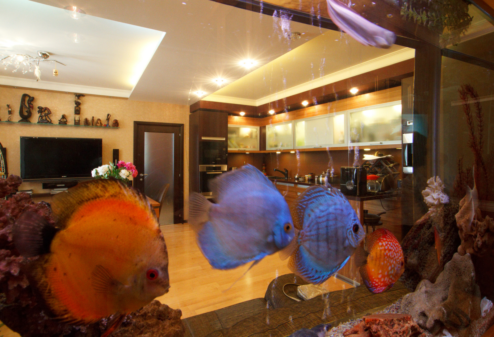 Фоновое изображение профиля Светлана Чернова